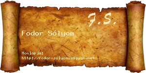 Fodor Sólyom névjegykártya